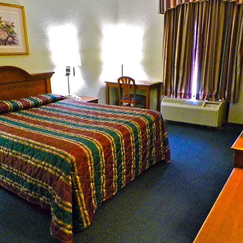 Hotel Denim Greensboro Habitación foto